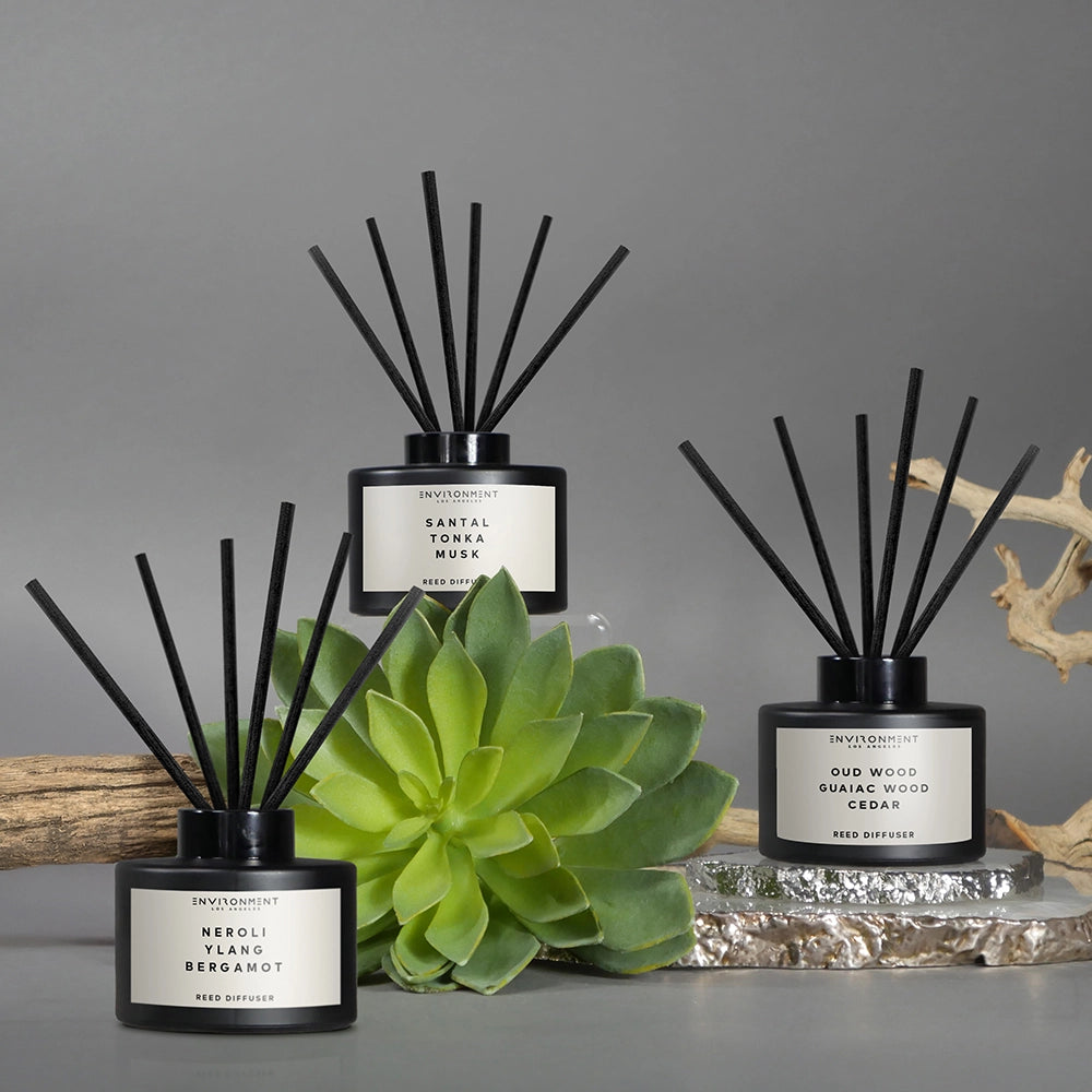 Reed Diffuser — Blackcurrant & Rose