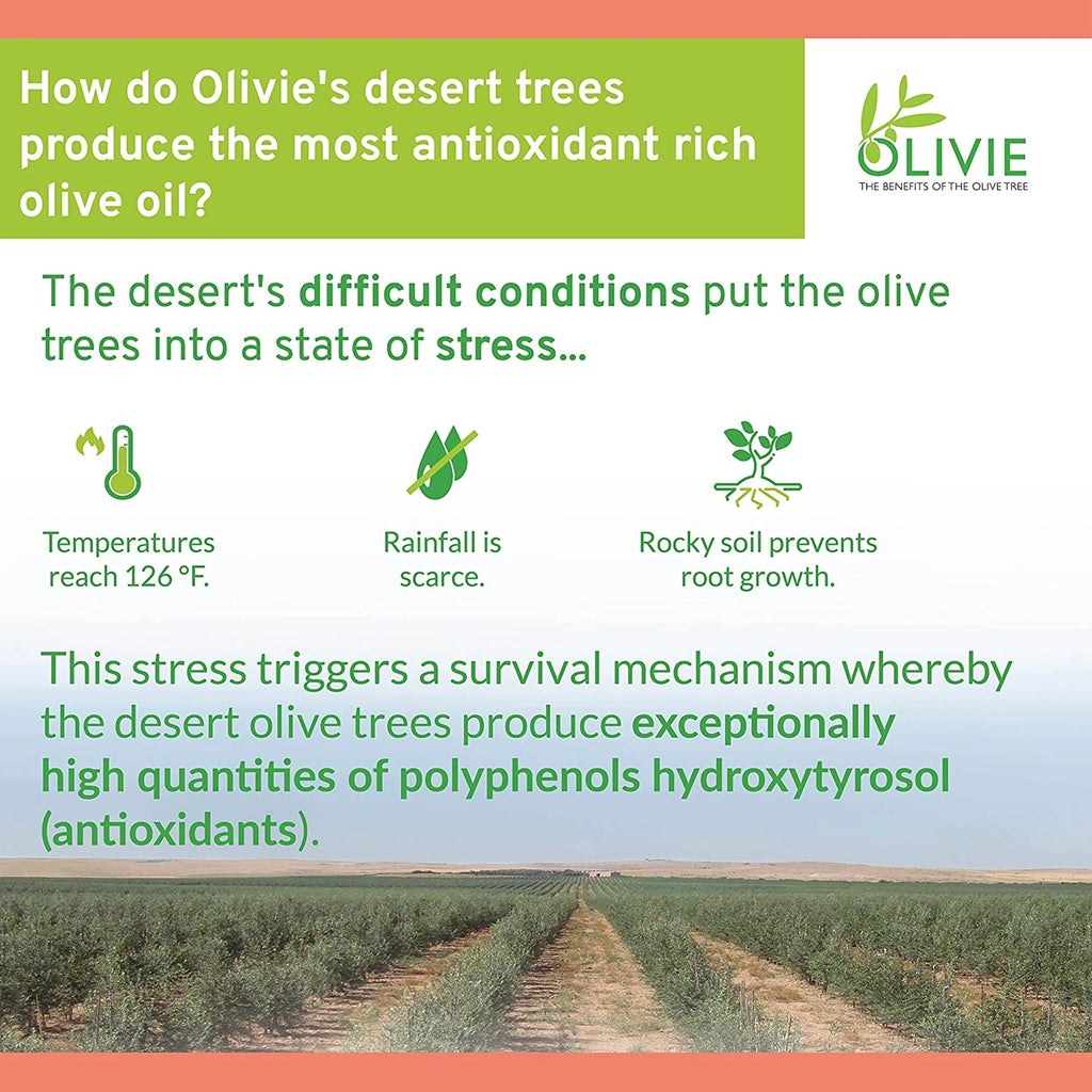 ATLAS Olivie Dermapsoria Organic Olive Leaf Extract | 80 Capsules