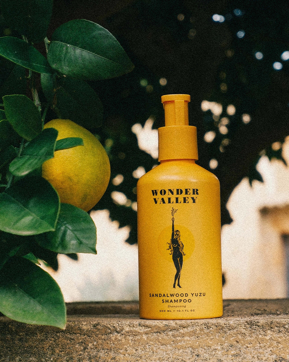 Wonder Valley Sandalwood Yuzu Shampoo